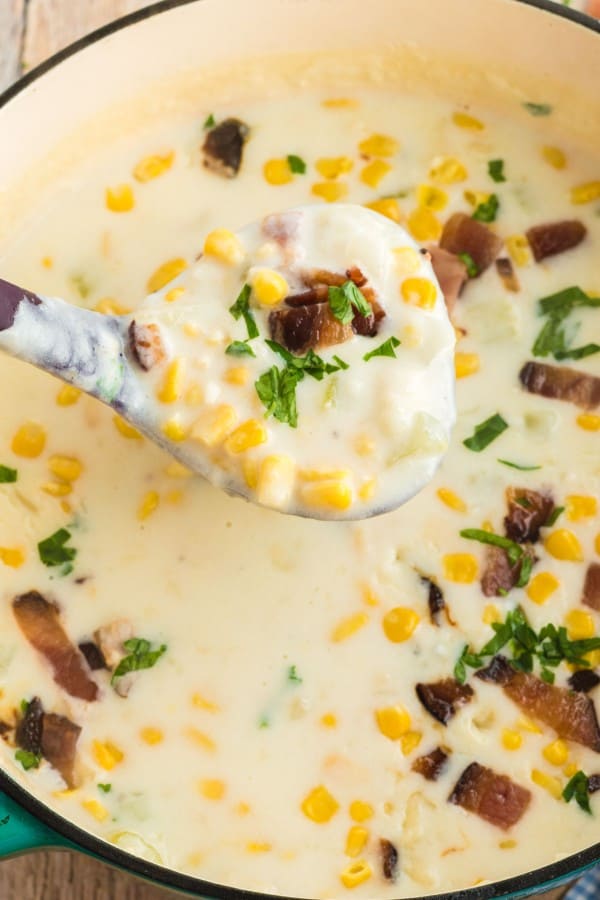 corn chowder on a ladle