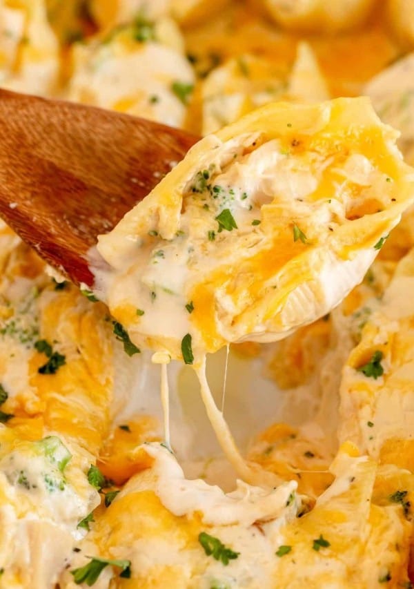 chicken alfredo stuffed shells on a spoon
