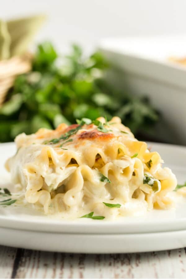 florentine lasagna roll ups on white plates