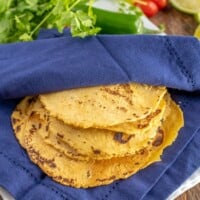 corn tortillas in a blue cloth napkin