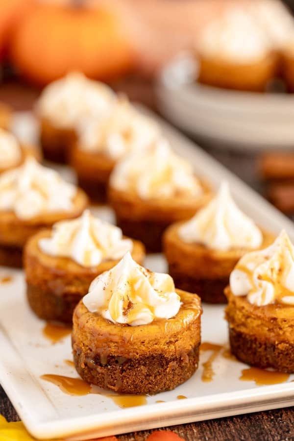 pumpkin cheesecakes on a white platter.