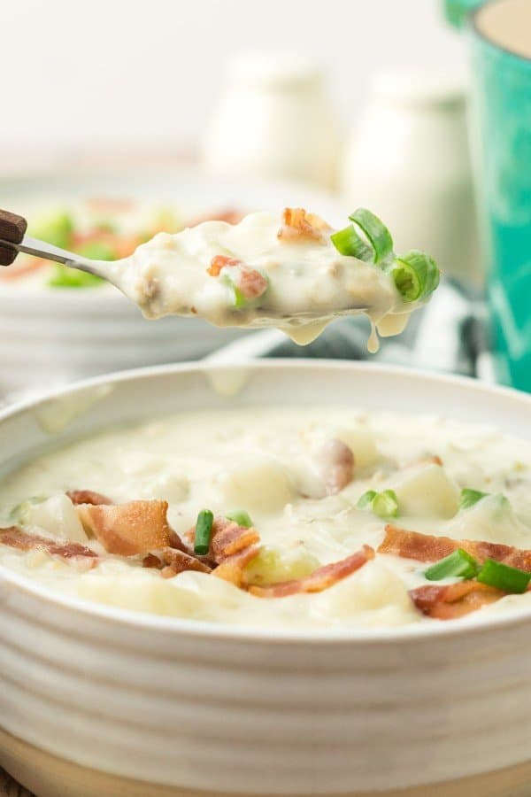new england clam chowder on a spoon.