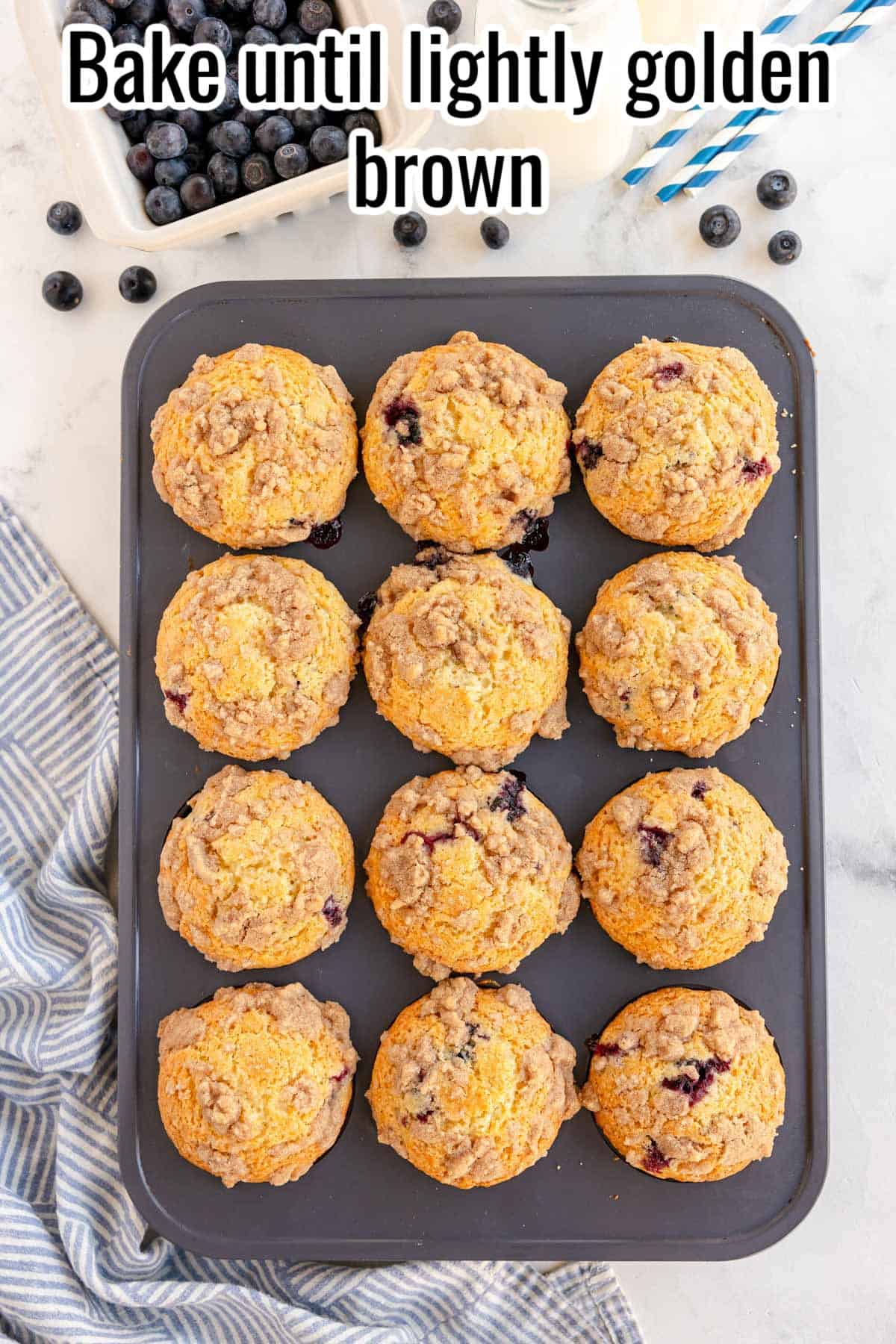baked blueberry muffins in a muffin tin.